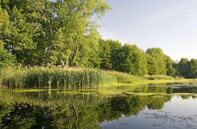 Provinciaal Groendomein Prinsenpark Retie